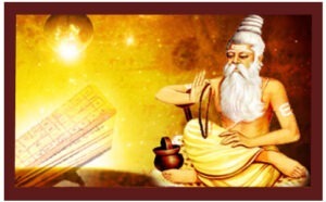 best astrologer in india