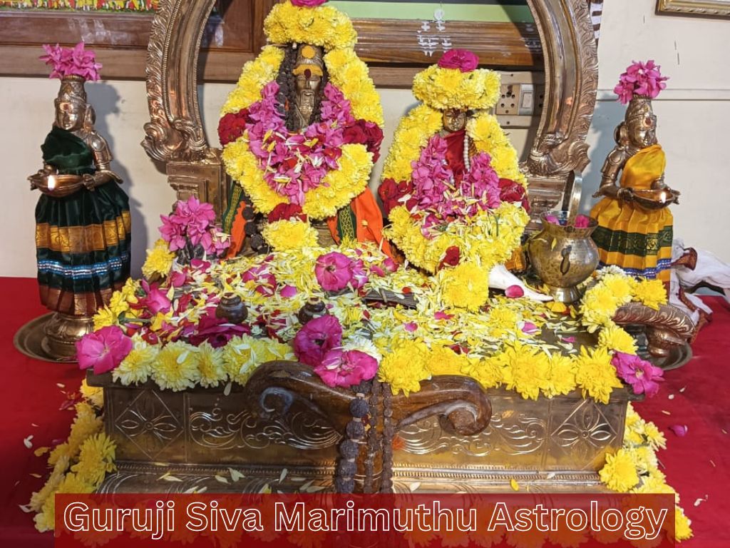 Nadi Astrology in Telugu